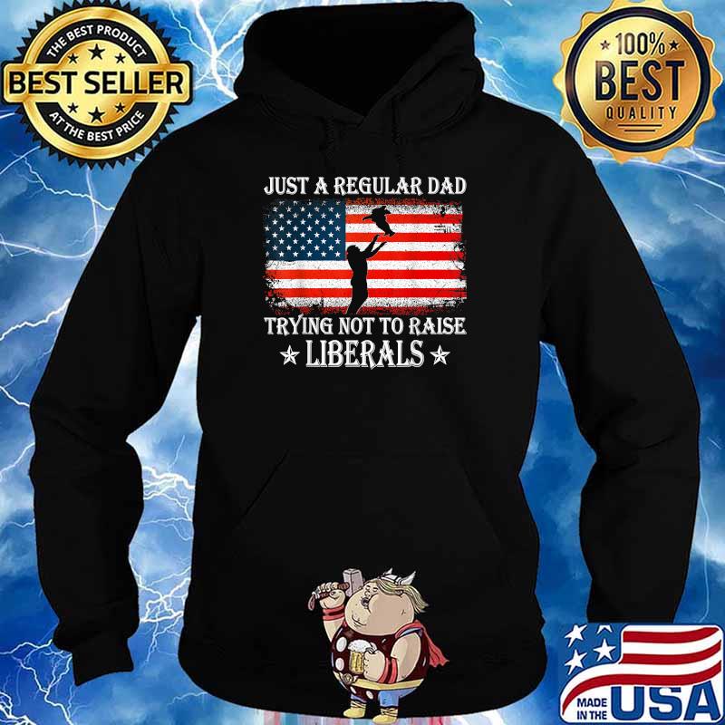 Just a Regular Dad Trying Not to Raise Liberals Funny Dad Usa Flag T-Shirt Hoodie