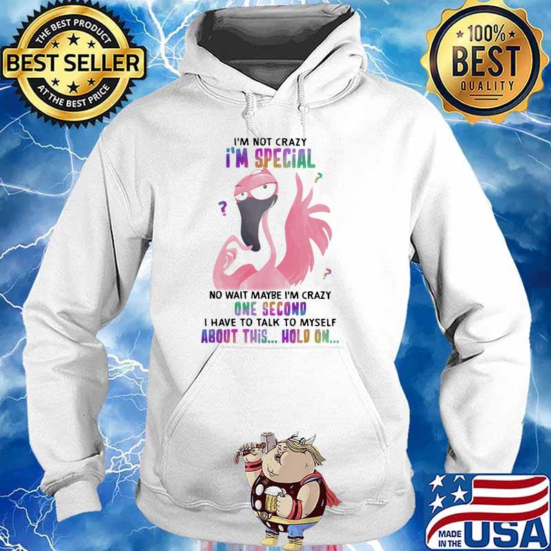 I'm Not Crazy I'm Special No Wait Maybe I'm Crazy One Second I Have To Talk To Myself About This Hold ON Flamingo Shirt Hoodie