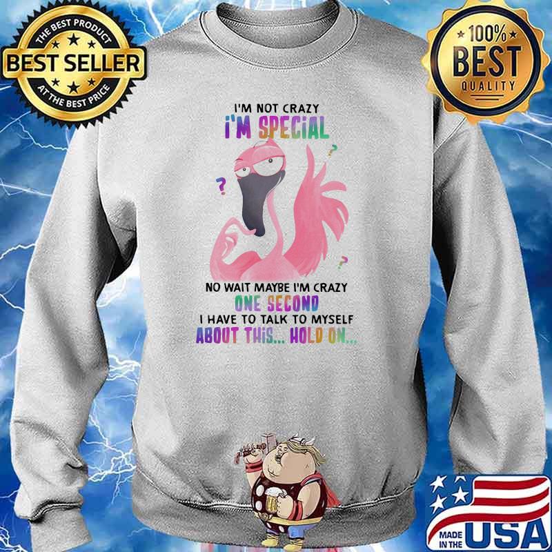 I'm Not Crazy I'm Special No Wait Maybe I'm Crazy One Second I Have To Talk To Myself About This Hold ON Flamingo Shirt Sweater