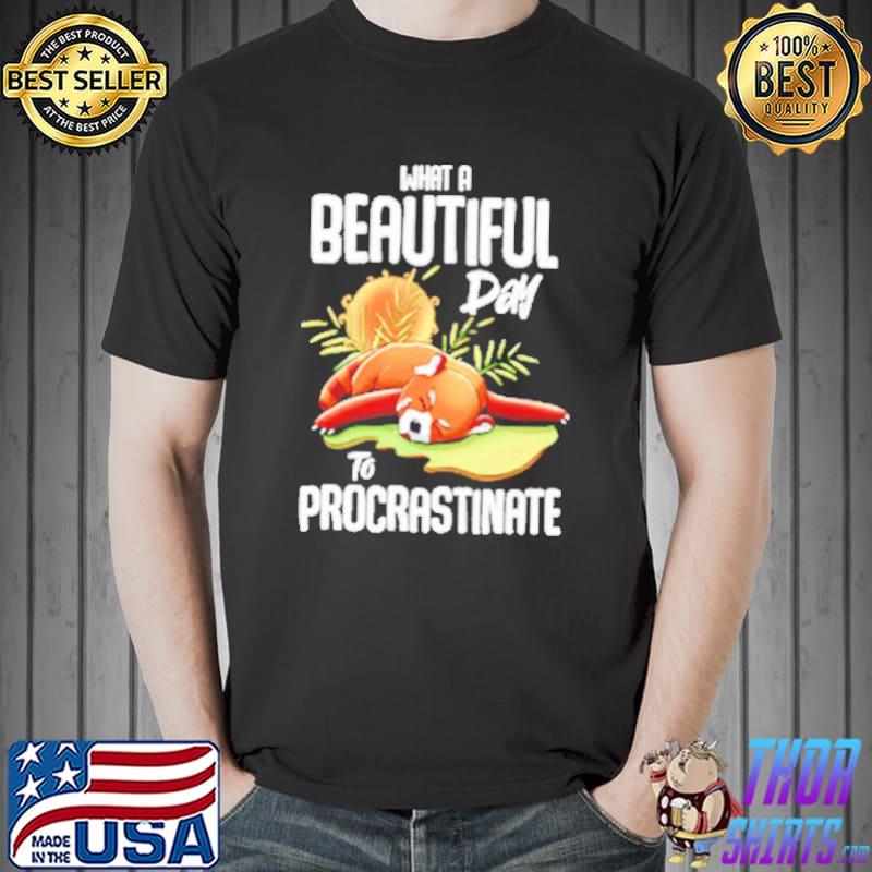 What a beautiful day to procrastinate shirt