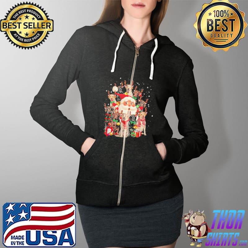 Official Pretty Merry Christmas Santa Claus Labrador Retriever Dogs Shirt Full Zip Hooded