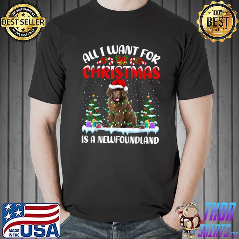 Top Santa Hat All I Want For Christmas Is A Newfoundland Dog T Shirt Unisex