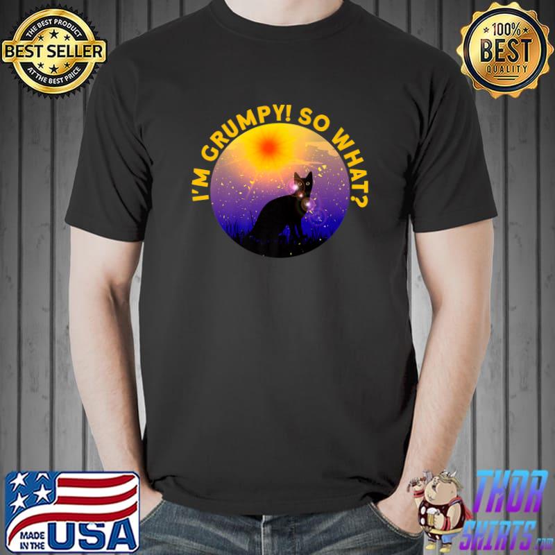 Angry cat meme i'm grumpy so what sunset T-Shirt