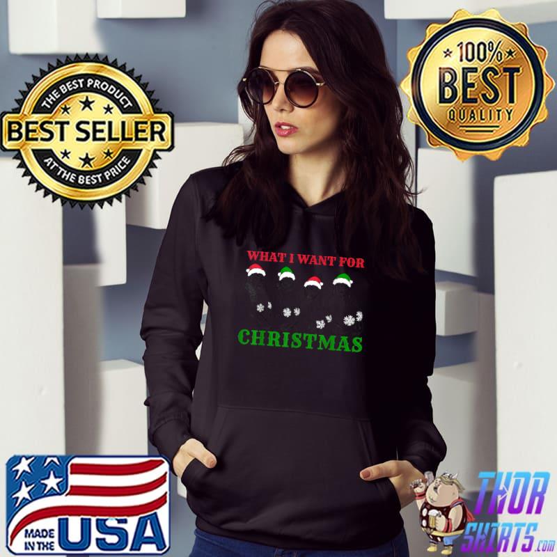 What I Want For Christmas Are Four Buxom Snowflake Babes Womens T-Shirt Hoodie