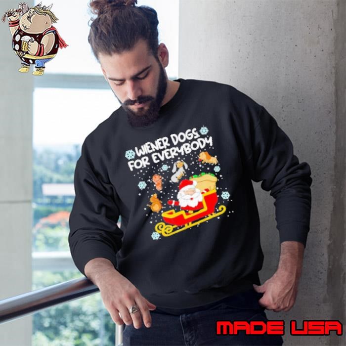 Wiener Dogs For Everybody Santa Funny Christmas Dachshund Sweatshirt