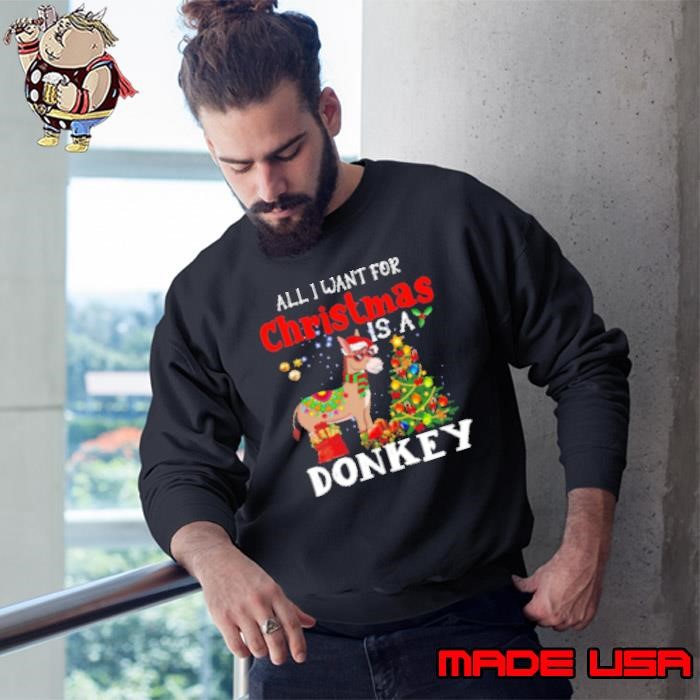 Donkey Christmas All I Want For Christmas Is A Donkey Sweatshirt