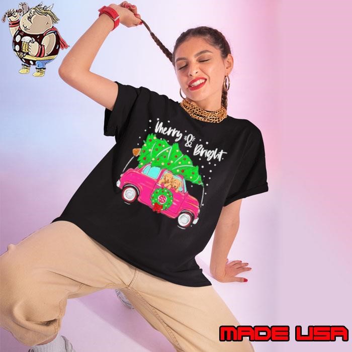 Merry And Bright Pitbull Dog Ugly Christmas Ladies tee