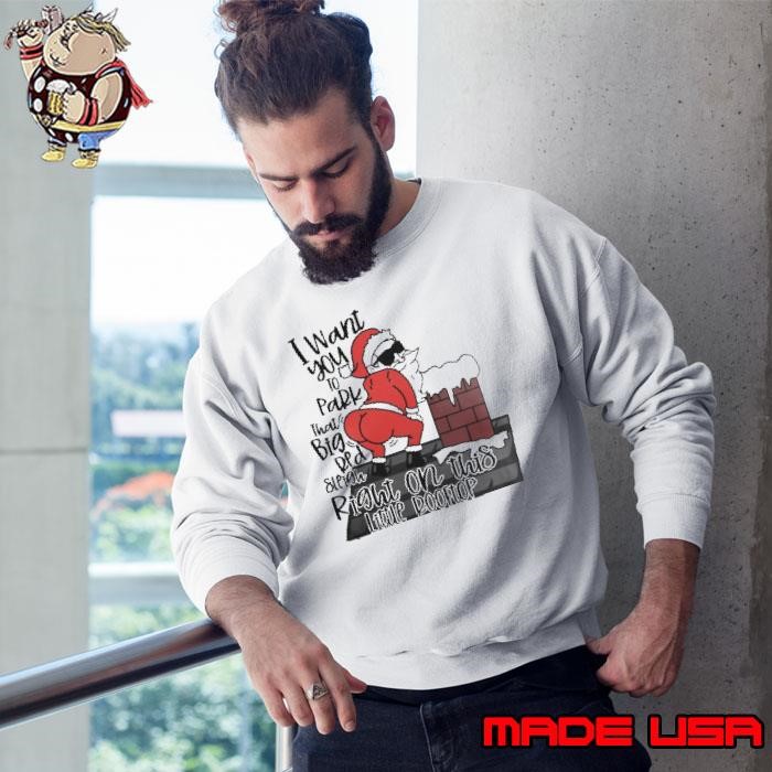 Santa Claus I Want You To Park That Big Red And Light Right On This Rooftop Christmas Sweatshirt
