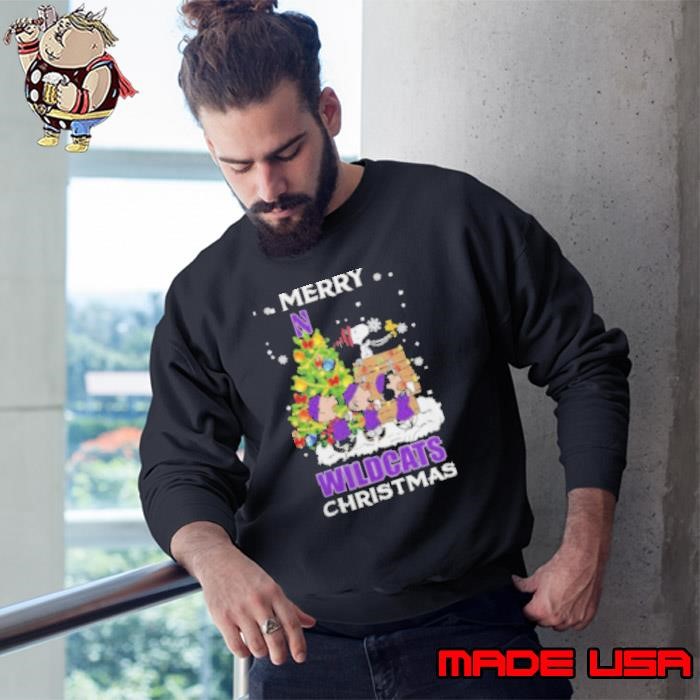 2024 Northwestern Wildcats Snoopy And Friends Merry Christmas Sweatshirt