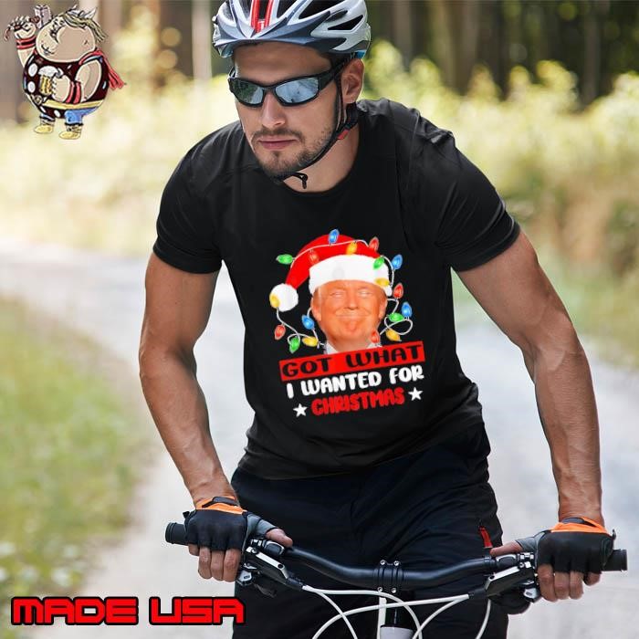 Got what i wanted for christmas donald trump light Unisex