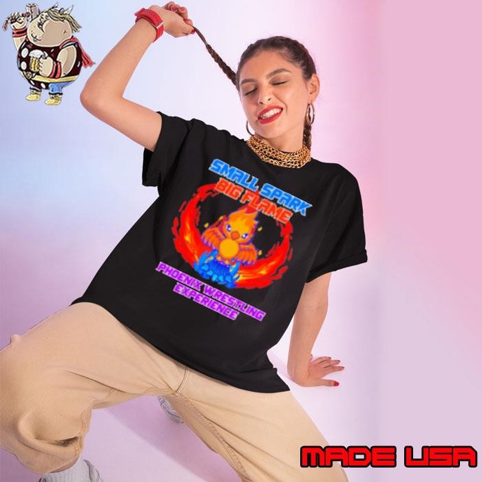 Small spark big flame Phoenix Wrestling Experience Ladies tee