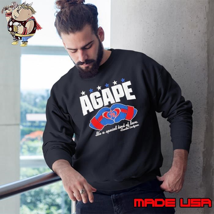 Charlie Lindgren Washington Capitals agape love Sweatshirt
